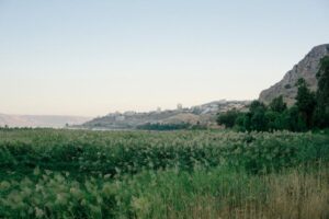 land investment Israel