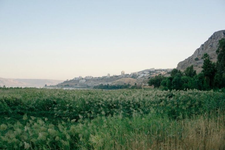 land investment Israel
