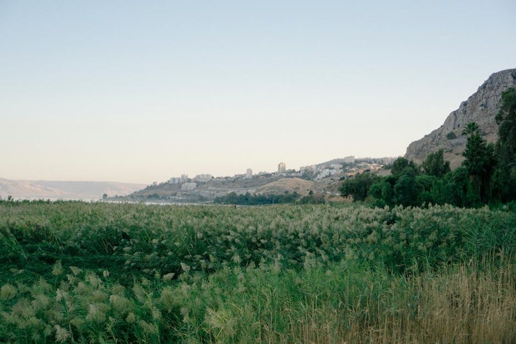 Haley Black באתר PEXELS land investment Israel